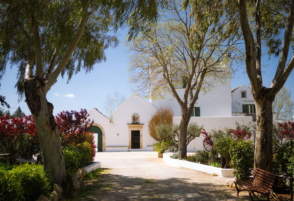Masseria Del Saliceto: Building Exterior, Facilities, Outdoor, Spring, Summer