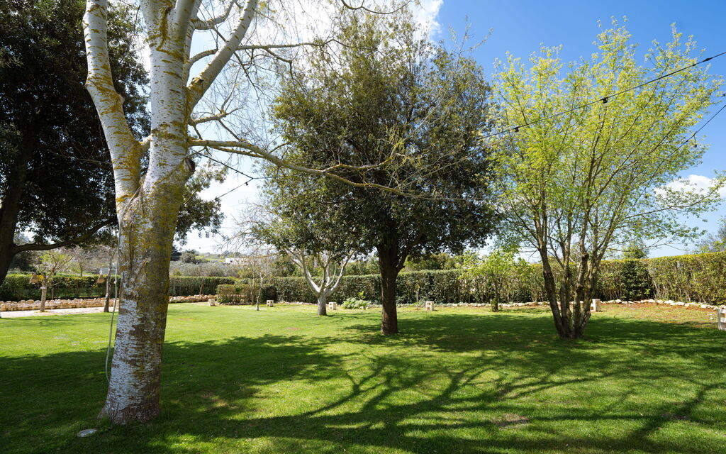 Masseria Del Saliceto