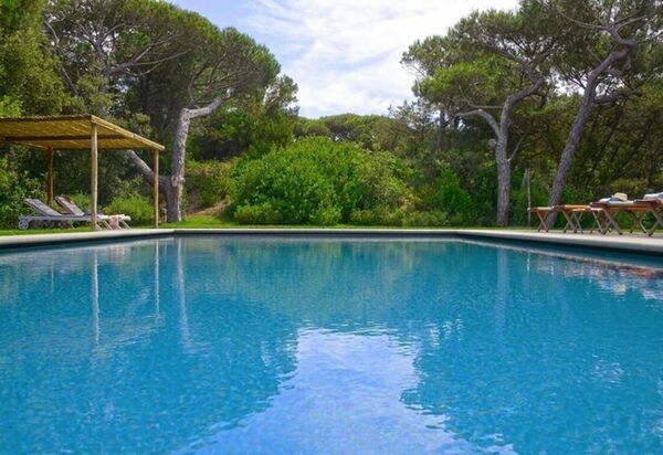 Villa Bibbona: all'aperto, Balcone / Terrazza / Patio, Estate, Esterni, Giardino, Piscina, Primavera