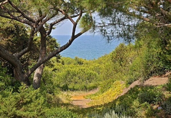 Villa Bibbona: all'aperto, Balcone / Terrazza / Patio, Estate, Esterni, Giardino, Piscina, Primavera