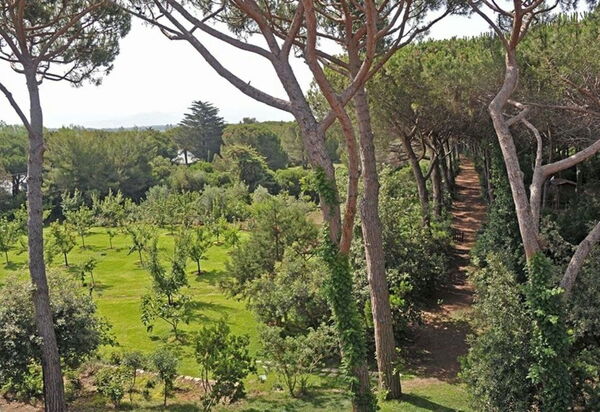 Villa Bibbona: all'aperto, Balcone / Terrazza / Patio, Estate, Esterni, Giardino, Piscina, Primavera