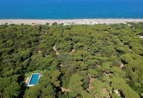 Villa Bibbona: all'aperto, Balcone / Terrazza / Patio, Estate, Esterni, Giardino, Piscina, Primavera