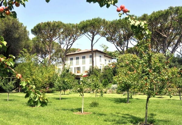 Villa Bibbona: all'aperto, Balcone / Terrazza / Patio, Estate, Esterni, Giardino, Piscina, Primavera