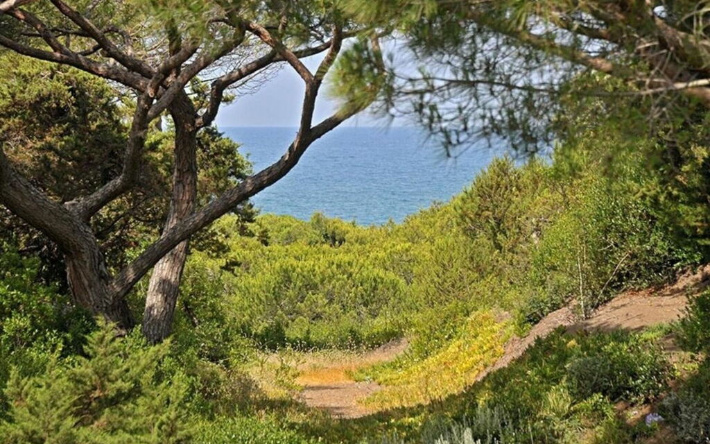 Villa Bibbona: all'aperto, Balcone / Terrazza / Patio, Estate, Esterni, Giardino, Piscina, Primavera