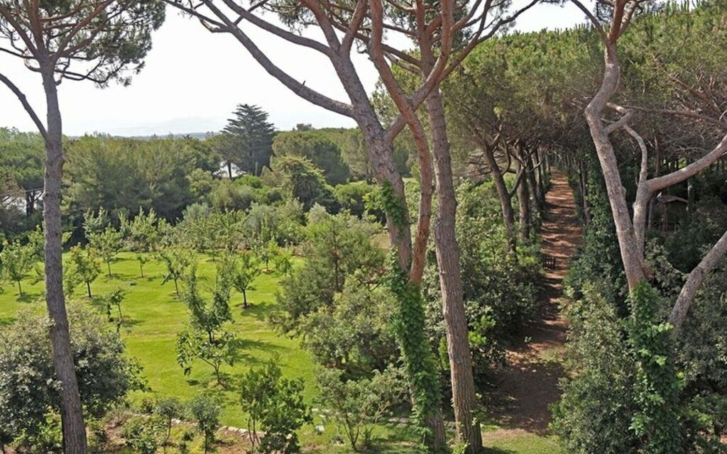 Villa Bibbona: all'aperto, Balcone / Terrazza / Patio, Estate, Esterni, Giardino, Piscina, Primavera