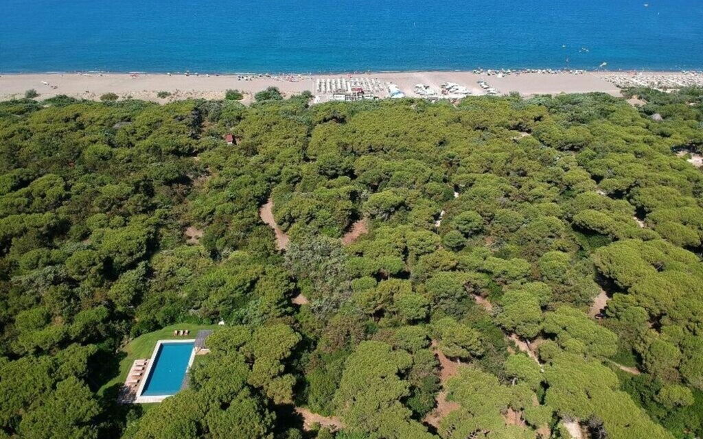 Villa Bibbona: all'aperto, Balcone / Terrazza / Patio, Estate, Esterni, Giardino, Piscina, Primavera