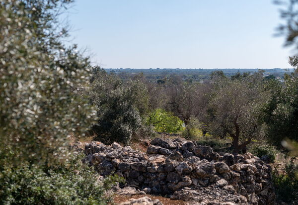 Villa Trullo Il Pajaro