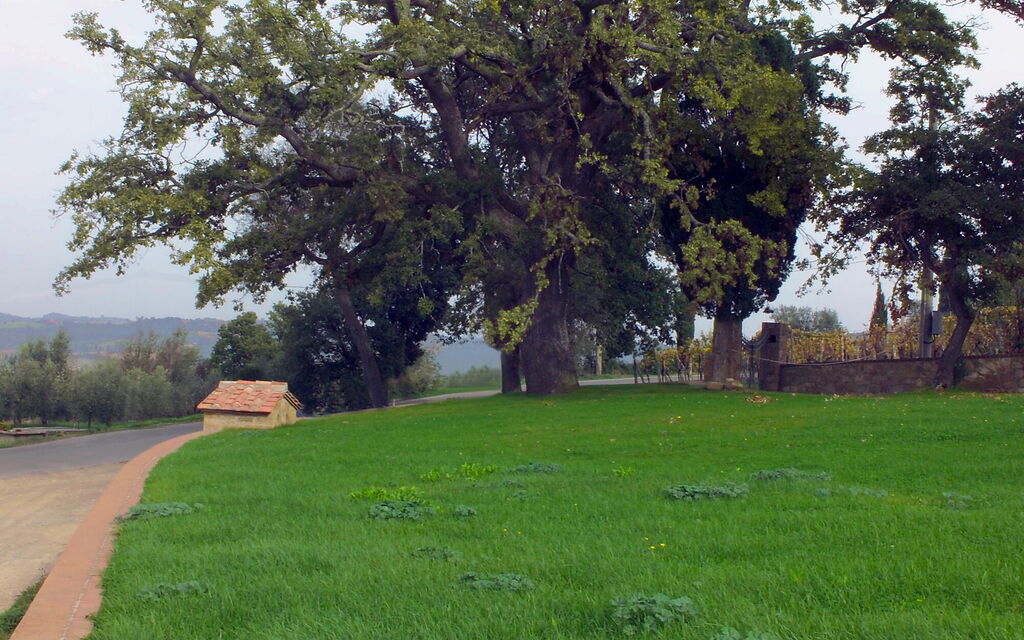 Villa Fontanini