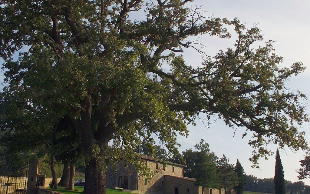 Villa Fontanini