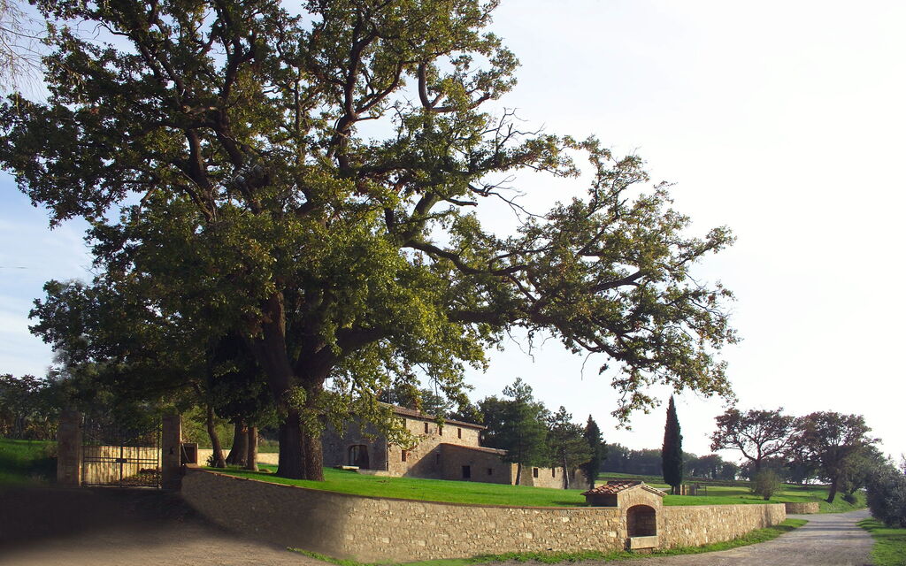 Villa Fontanini
