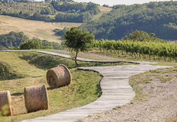 Villa Tessaroni: all'aperto, Attività, Balcone / Terrazza / Patio, Benessere, Camera da letto, Caratteristiche, Entrata Principale, Estate, Esterni, Idromassaggio, Primavera, Shopping