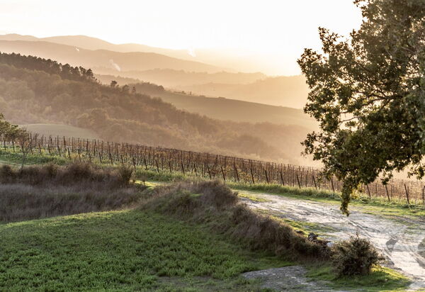 Villa Tessaroni: all'aperto, Attività, Balcone / Terrazza / Patio, Benessere, Camera da letto, Caratteristiche, Entrata Principale, Estate, Esterni, Idromassaggio, Primavera, Shopping
