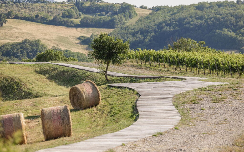 Villa Tessaroni: all'aperto, Attività, Balcone / Terrazza / Patio, Benessere, Camera da letto, Caratteristiche, Entrata Principale, Estate, Esterni, Idromassaggio, Primavera, Shopping