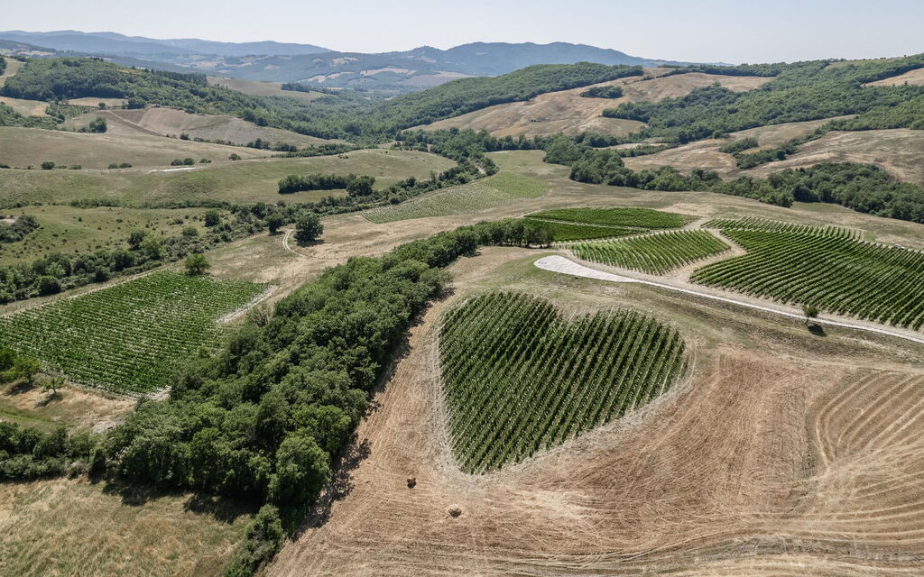 Villa Tessaroni: all'aperto, Attività, Balcone / Terrazza / Patio, Benessere, Camera da letto, Caratteristiche, Entrata Principale, Estate, Esterni, Idromassaggio, Primavera, Shopping