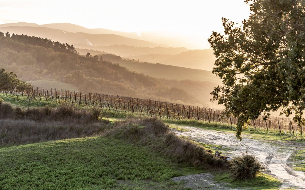 Villa Tessaroni: all'aperto, Attività, Balcone / Terrazza / Patio, Benessere, Camera da letto, Caratteristiche, Entrata Principale, Estate, Esterni, Idromassaggio, Primavera, Shopping