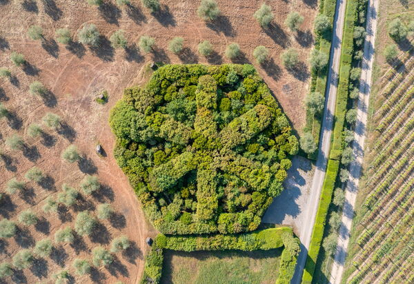 Villa Nero Scopeti: Activities, Balcony / Terrace / Patio, Building Exterior, Garden, Main Entrance, Spring, Summer