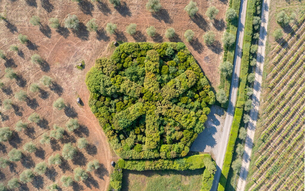 Villa Nero Scopeti: Activities, Balcony / Terrace / Patio, Building Exterior, Garden, Main Entrance, Spring, Summer