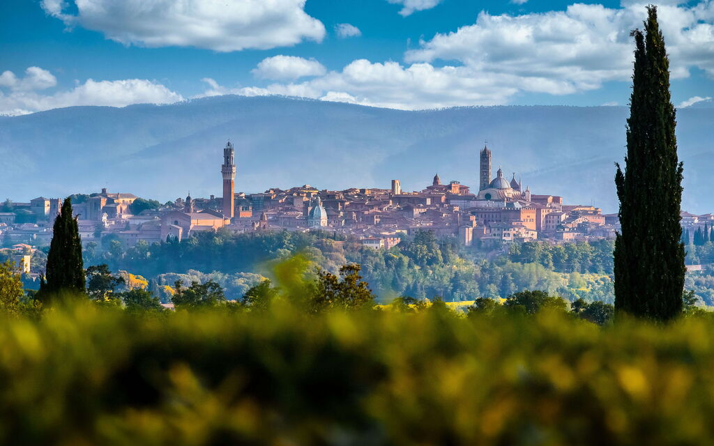 Villa Nero Scopeti: Activities, Balcony / Terrace / Patio, Building Exterior, Garden, Main Entrance, Spring, Summer