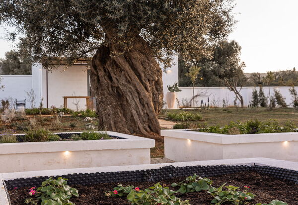 Villa Arancio: Activities, Amenities, Balcony / Terrace / Patio, Building Exterior, Facilities, Food, Kitchen, Pool, Spring, Summer, Wellness