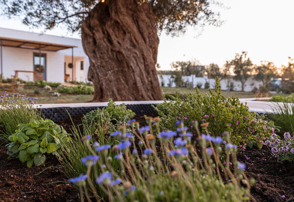 Villa Arancio: Activities, Amenities, Balcony / Terrace / Patio, Building Exterior, Facilities, Food, Kitchen, Pool, Spring, Summer, Wellness