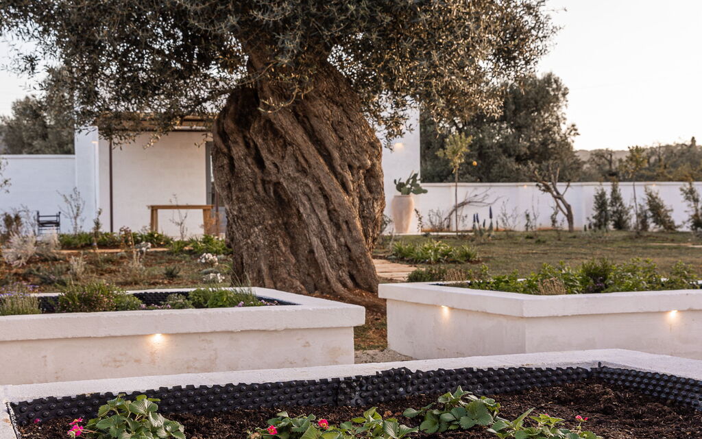 Villa Arancio: Attività, Balcone / Terrazza / Patio, Benessere, Caratteristiche, Cibo, Cucina, Estate, Esterni, Piscina, Primavera, Servizi