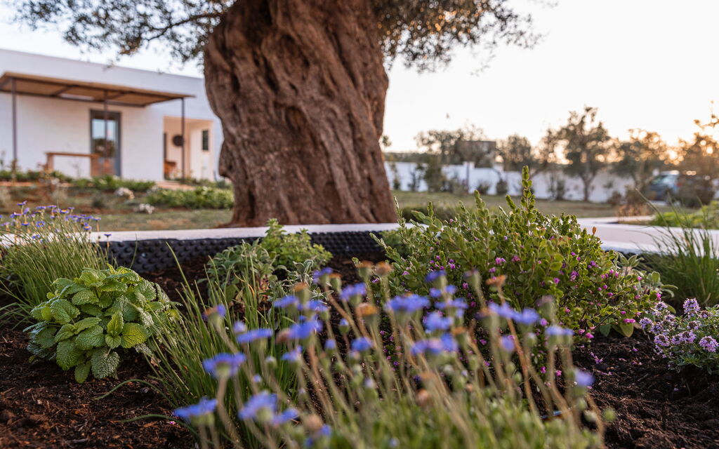 Villa Arancio: Attività, Balcone / Terrazza / Patio, Benessere, Caratteristiche, Cibo, Cucina, Estate, Esterni, Piscina, Primavera, Servizi