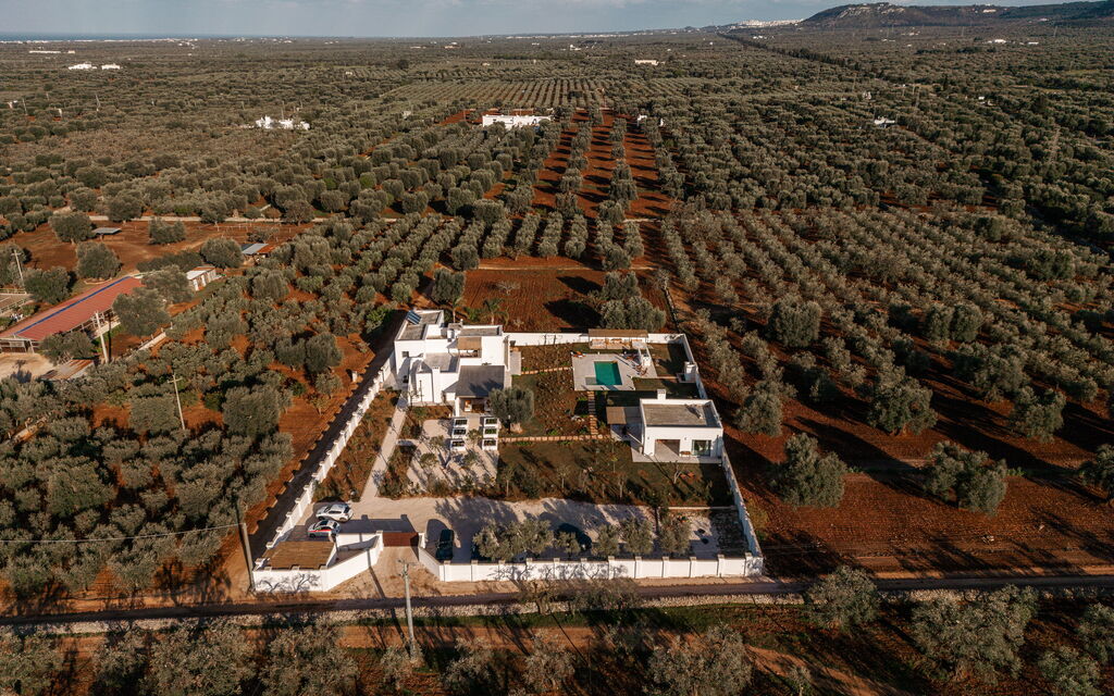 Villa Arancio: Attività, Balcone / Terrazza / Patio, Benessere, Caratteristiche, Cibo, Cucina, Estate, Esterni, Piscina, Primavera, Servizi