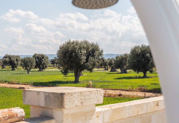 Villa Sensation Green: Activities, Amenities, Balcony / Terrace / Patio, Building Exterior, Main Entrance, Pool, Spring, Summer, Wellness