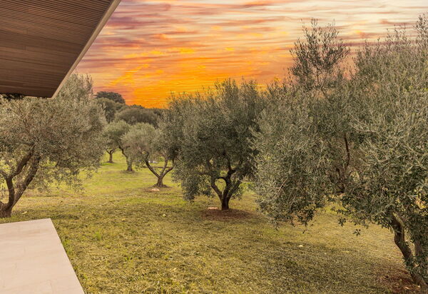 Villa Valeria: Activities, Building Exterior, Facilities, Main Entrance, Pool, Spring, Summer