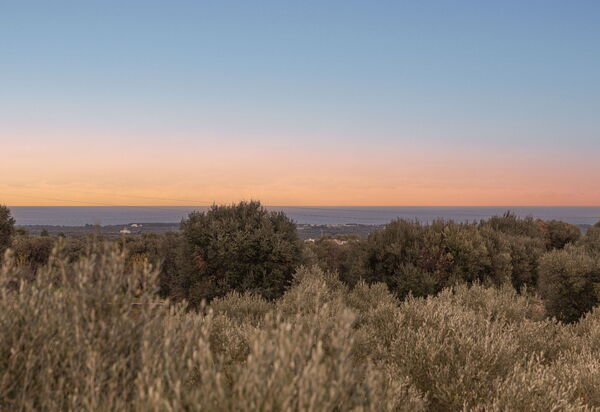 Villa Valeria: Activities, Building Exterior, Facilities, Main Entrance, Pool, Spring, Summer