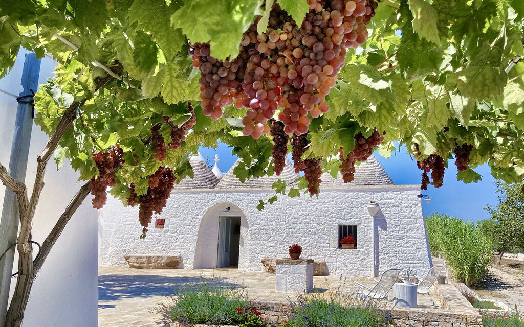 Trullo Francesca: Attività, Balcone / Terrazza / Patio, Caratteristiche, Estate, Esterni, Giardino, Piscina, Primavera