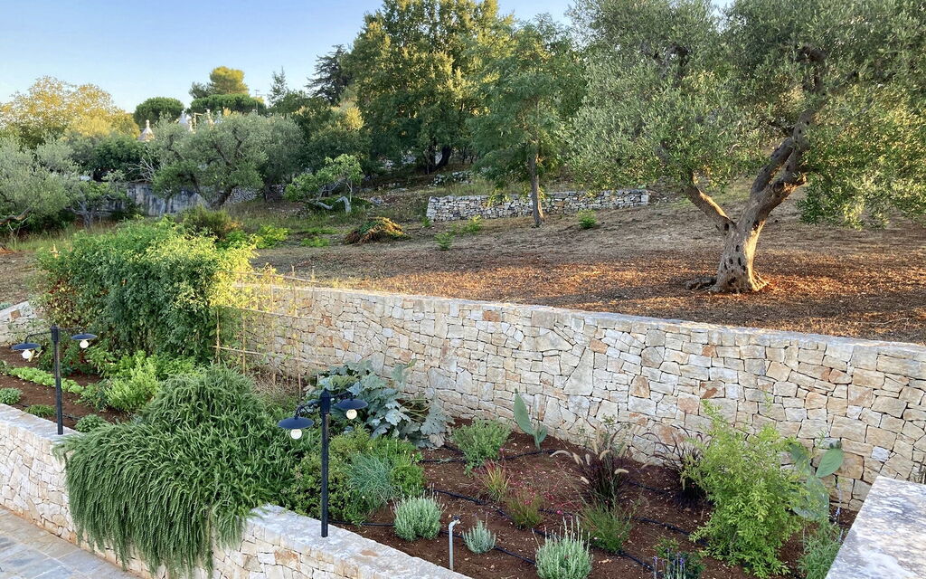 Trullo Francesca: Attività, Balcone / Terrazza / Patio, Caratteristiche, Estate, Esterni, Giardino, Piscina, Primavera