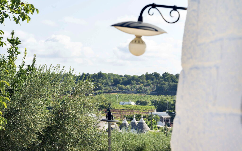 Trullo Francesca: Attività, Balcone / Terrazza / Patio, Caratteristiche, Estate, Esterni, Giardino, Piscina, Primavera