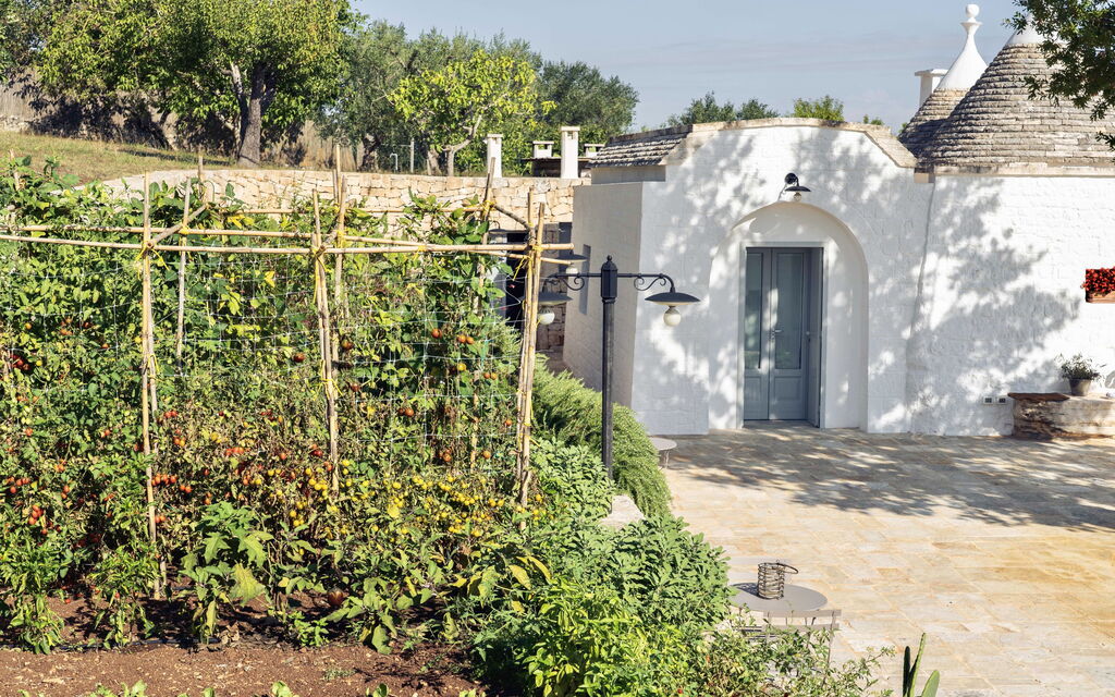 Trullo Francesca: Attività, Balcone / Terrazza / Patio, Caratteristiche, Estate, Esterni, Giardino, Piscina, Primavera