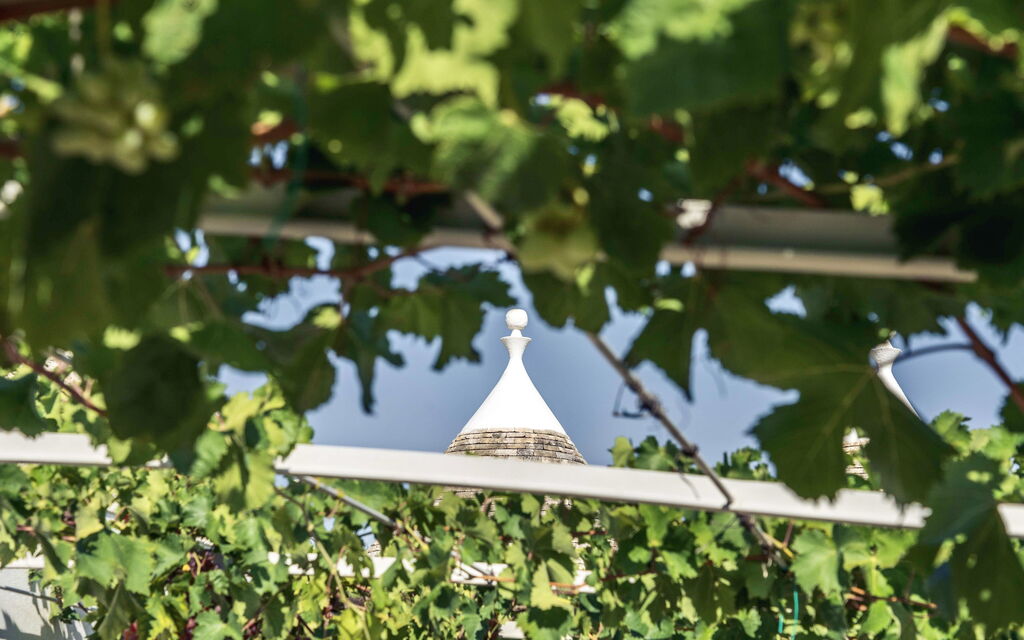 Trullo Francesca: Attività, Balcone / Terrazza / Patio, Caratteristiche, Estate, Esterni, Giardino, Piscina, Primavera