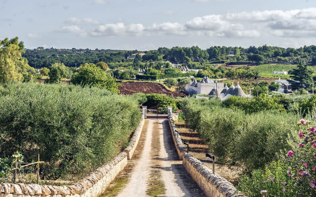 Trullo Francesca: Attività, Balcone / Terrazza / Patio, Caratteristiche, Estate, Esterni, Giardino, Piscina, Primavera