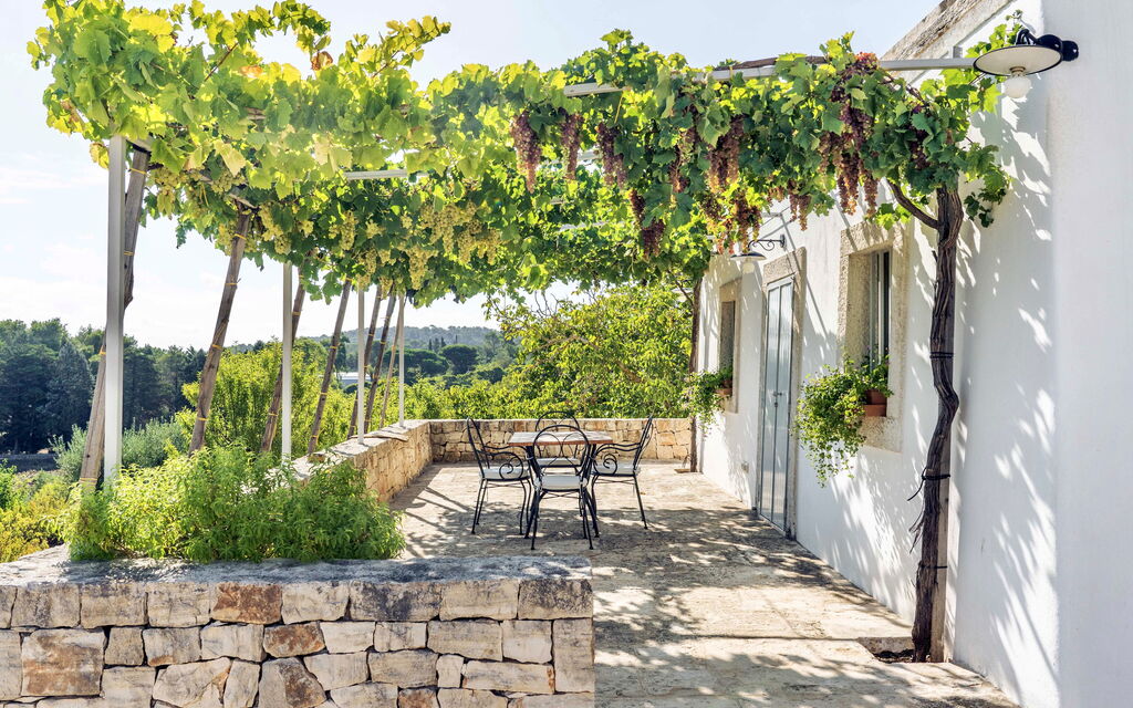 Trullo Francesca: Attività, Balcone / Terrazza / Patio, Caratteristiche, Estate, Esterni, Giardino, Piscina, Primavera