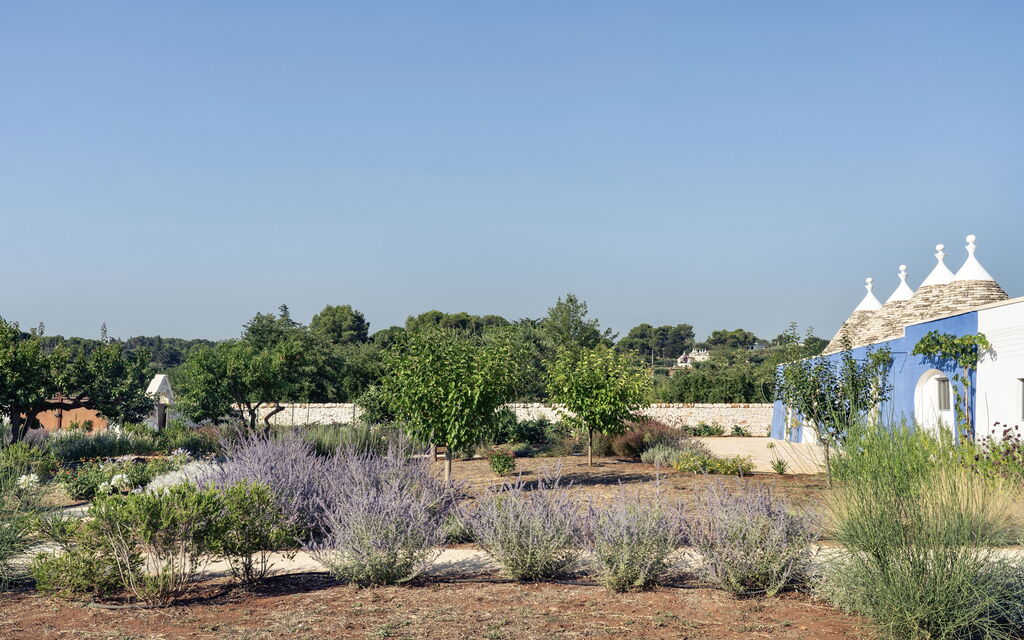 Trullo Cinzia: Attività, Balcone / Terrazza / Patio, Caratteristiche, Estate, Esterni, Giardino, Piscina, Primavera, Servizi