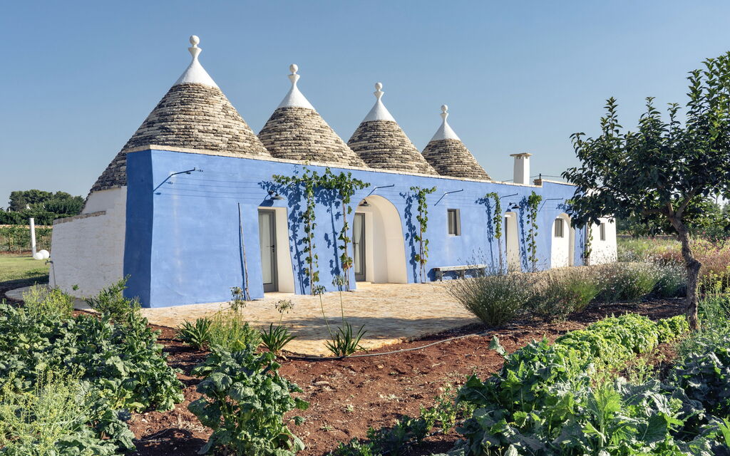 Trullo Cinzia: Attività, Balcone / Terrazza / Patio, Caratteristiche, Estate, Esterni, Giardino, Piscina, Primavera, Servizi