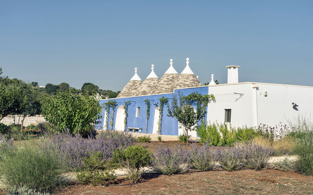 Trullo Cinzia: Attività, Balcone / Terrazza / Patio, Caratteristiche, Estate, Esterni, Giardino, Piscina, Primavera, Servizi