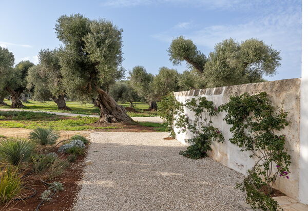 Villa Carratelli: Activities, Amenities, Balcony / Terrace / Patio, Building Exterior, Facilities, Garden, Main Entrance, Spring, Summer, Wellness