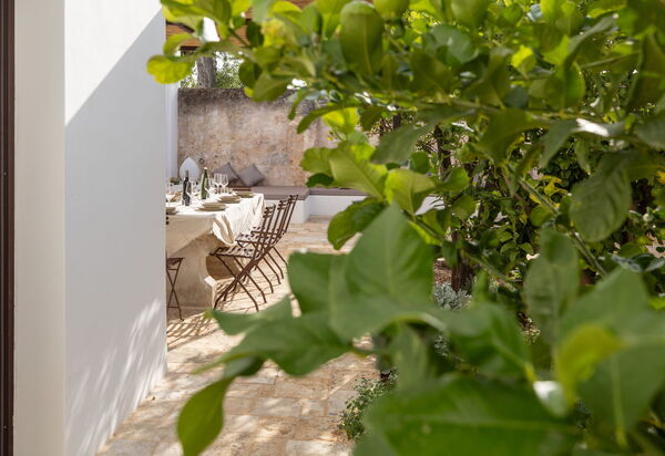 Villa Carratelli: Activities, Amenities, Balcony / Terrace / Patio, Building Exterior, Facilities, Garden, Main Entrance, Spring, Summer, Wellness