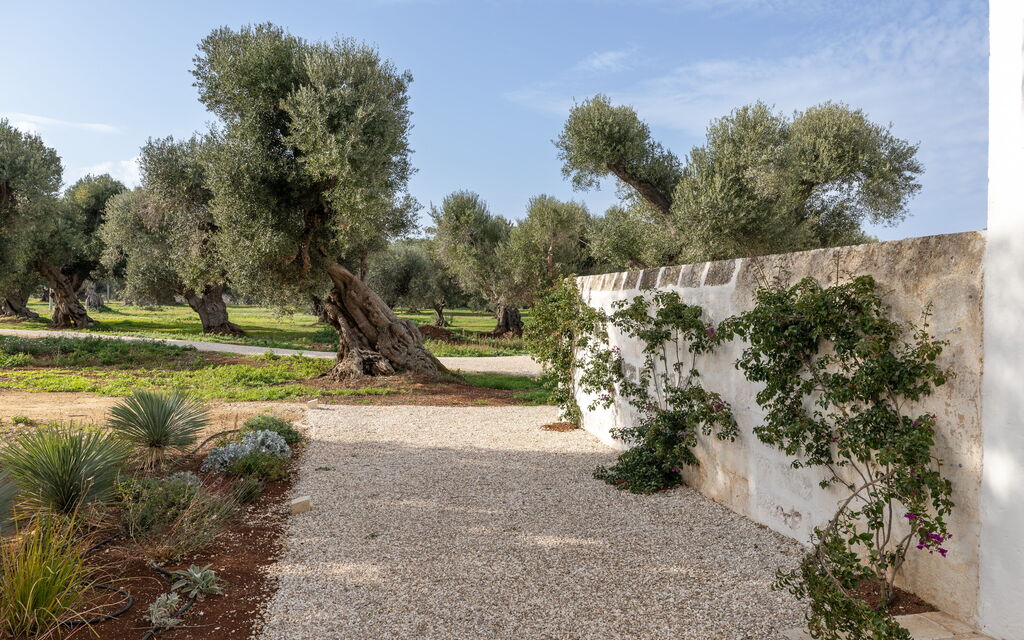 Villa Carratelli: Attività, Balcone / Terrazza / Patio, Benessere, Caratteristiche, Entrata Principale, Estate, Esterni, Giardino, Primavera, Servizi