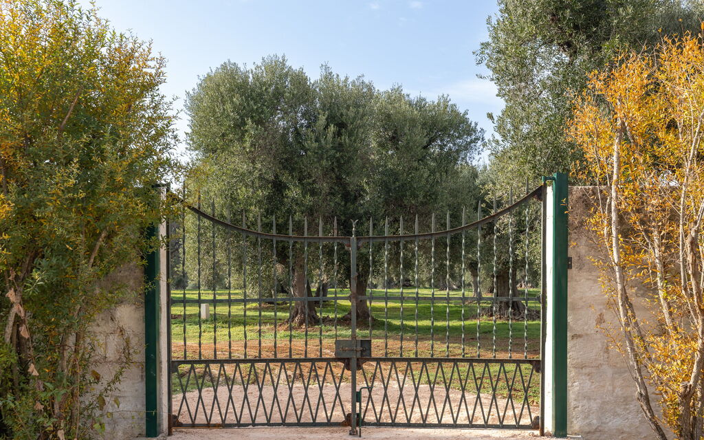 Villa Carratelli: Attività, Balcone / Terrazza / Patio, Benessere, Caratteristiche, Entrata Principale, Estate, Esterni, Giardino, Primavera, Servizi
