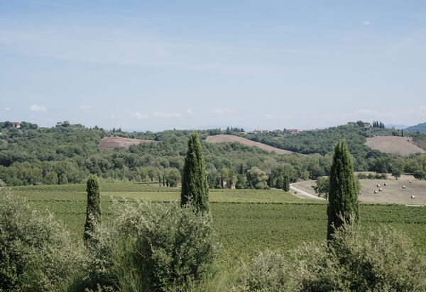 Villa Demetra: Attività, Balcone / Terrazza / Patio, Benessere, Città, Cucina, Estate, Esterni, Giardino, Piscina, Primavera, Servizi