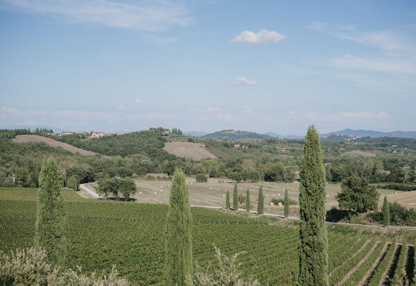 Villa Demetra: Attività, Balcone / Terrazza / Patio, Benessere, Città, Cucina, Estate, Esterni, Giardino, Piscina, Primavera, Servizi