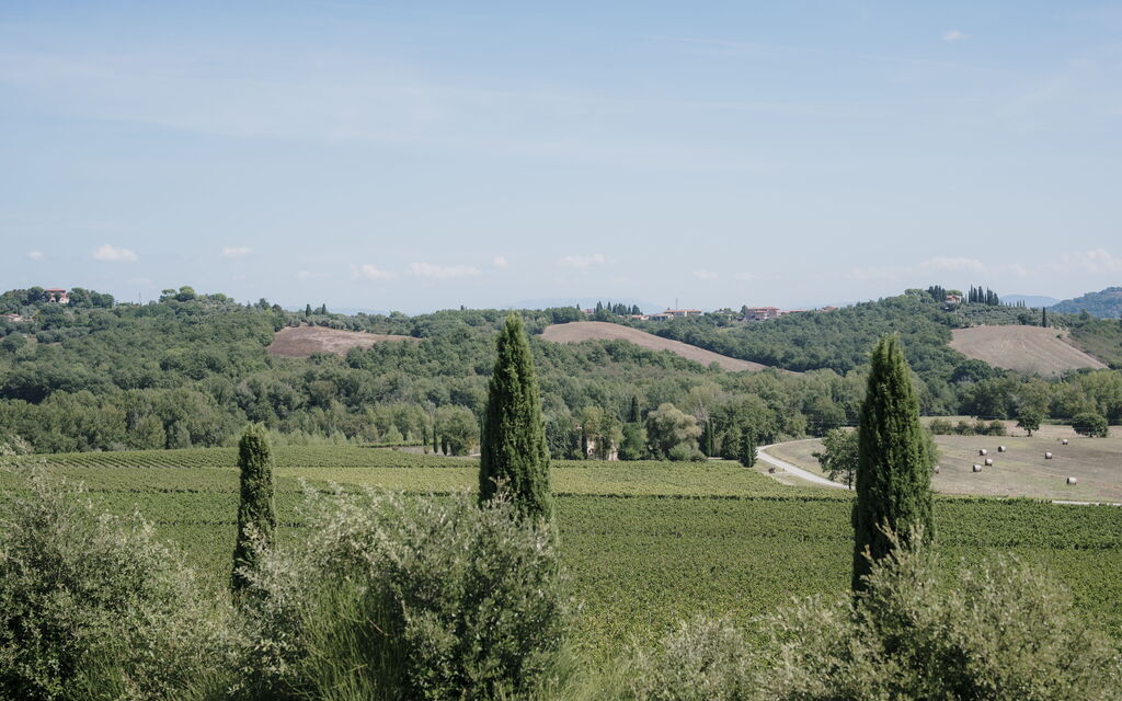 Villa Demetra: Activities, Balcony / Terrace / Patio, Building Exterior, City, Facilities, Garden, Kitchen, Pool, Spring, Summer, Wellness