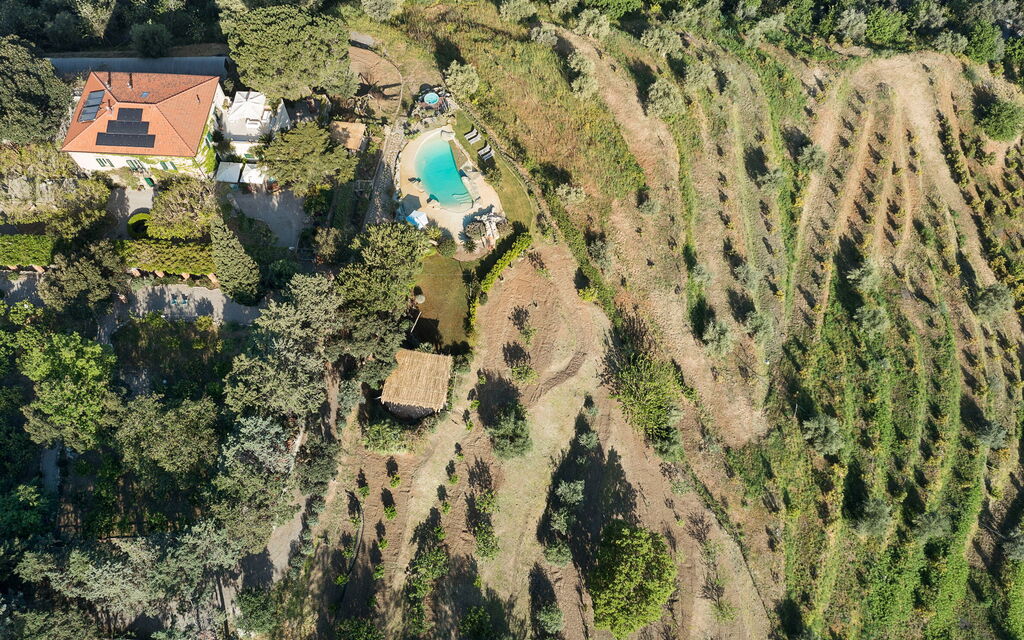 Villa Zenzero: Attività, Caratteristiche, Entrata Principale, Estate, Esterni, Giardino, Piscina, Primavera