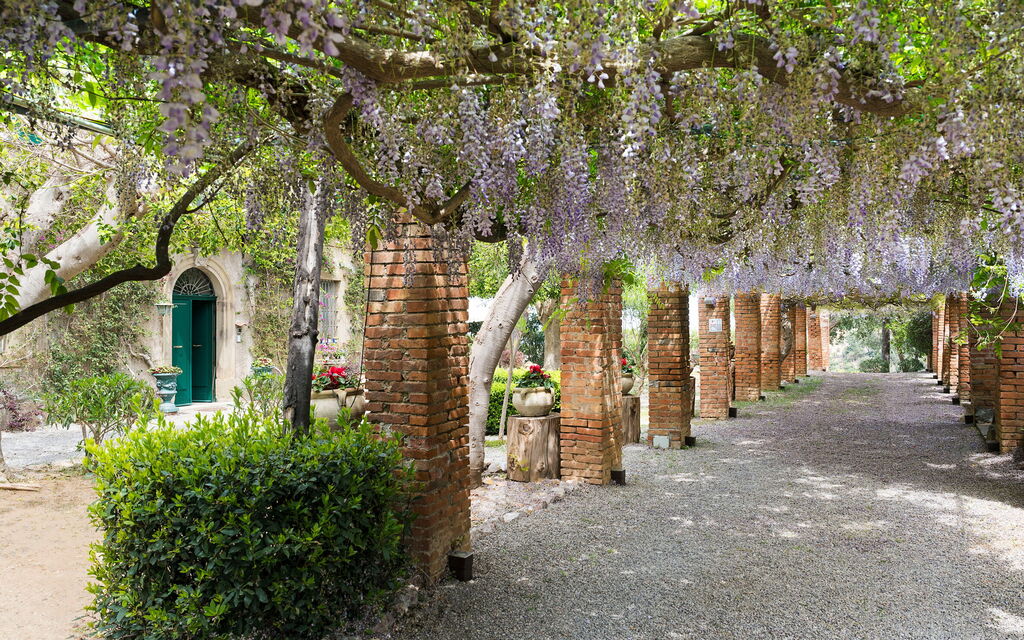 Villa Zenzero: Attività, Caratteristiche, Entrata Principale, Estate, Esterni, Giardino, Piscina, Primavera