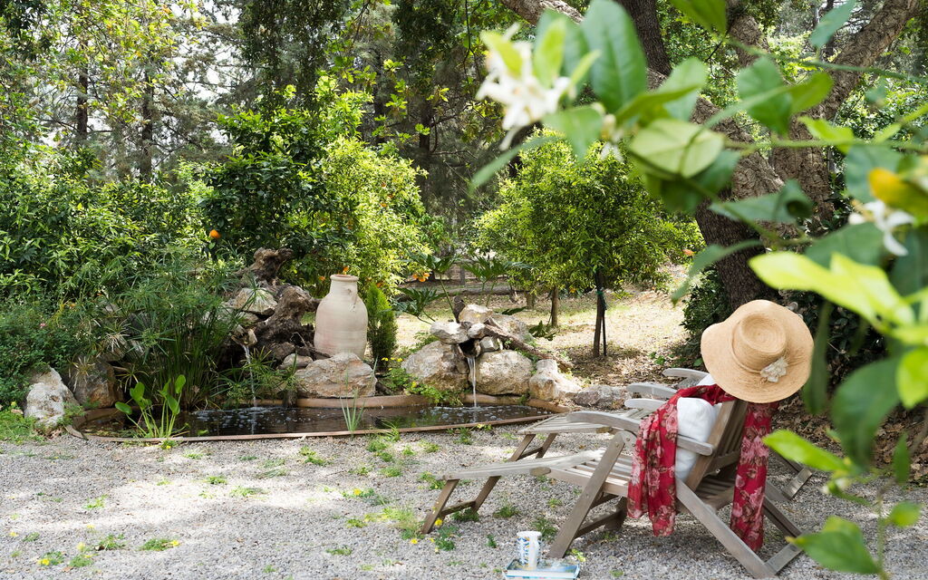 Villa Zenzero: Attività, Caratteristiche, Entrata Principale, Estate, Esterni, Giardino, Piscina, Primavera